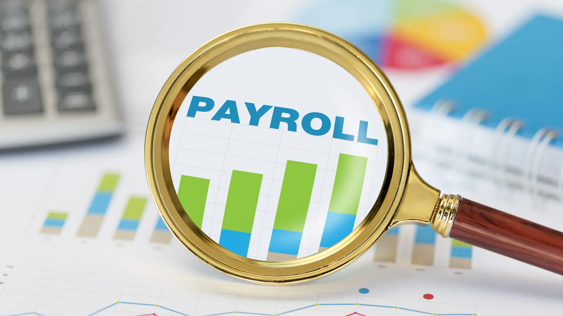 Image of Payroll & HR Compliance
